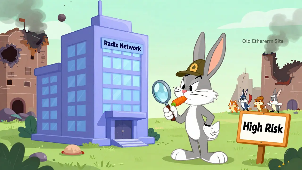 Skeptical cartoon rabbit inspecting new Radix exchange after Ethereum hack